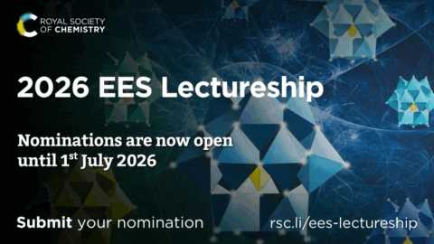 Towards entry "Call for Nominations: 2026 EES Lectureship"